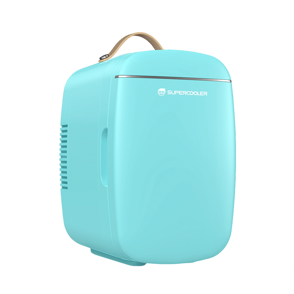 化妆品小冰箱SAV-AQ-6L
