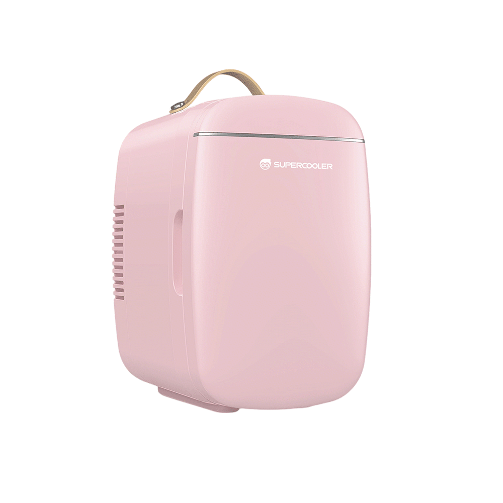 化妆品小冰箱SAV-AQ-6L